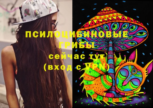 COCAINE Медногорск
