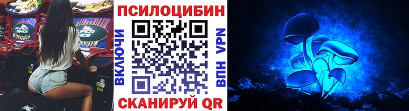 где купить наркоту  Сусуман  маркетплейс официальный сайт  Галлюциногенные грибы мицелий 