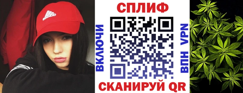 наркота  Сусуман  Шишки марихуана индика 